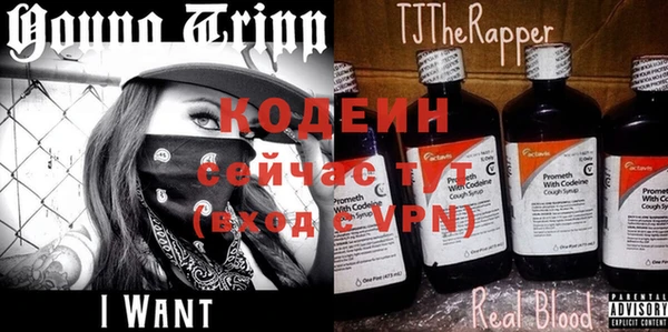 ПСИЛОЦИБИНОВЫЕ ГРИБЫ Алексин