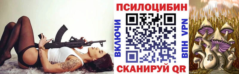 Псилоцибиновые грибы GOLDEN TEACHER  Рошаль 